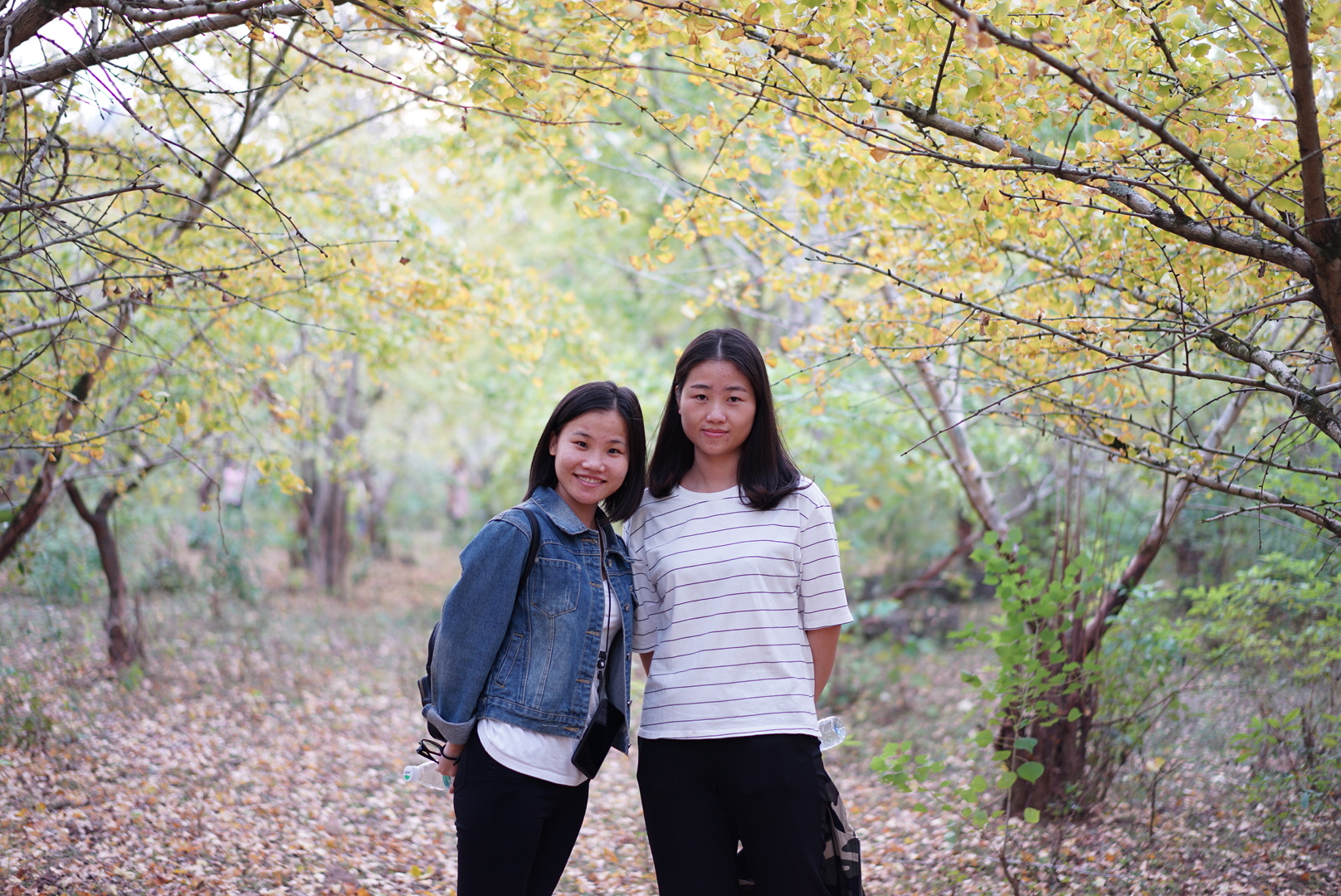 榴莲视频污下载安装精密·